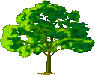 tree logo